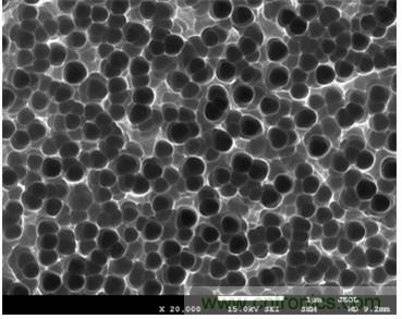 黑矽表麵微觀結構