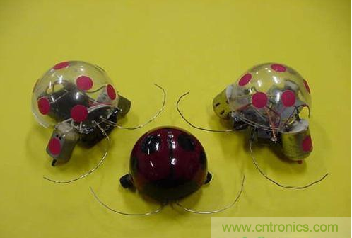手把手教你自製甲殼蟲機器人