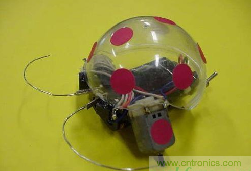 手把手教你自製甲殼蟲機器人
