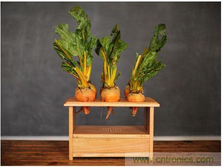 害怕聖誕節沒創意？看看發燒友們怎麼過聖誕