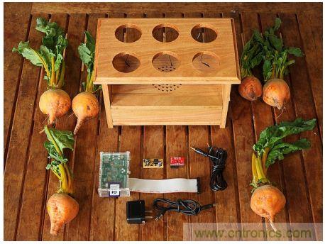 害怕聖誕節沒創意？看看發燒友們怎麼過聖誕