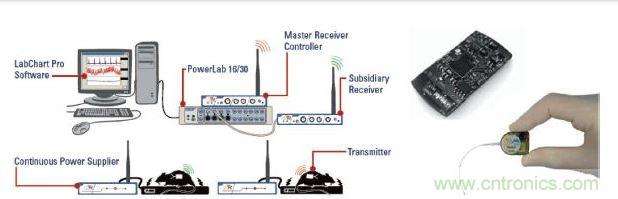 可無線充電的無線動物監測係統