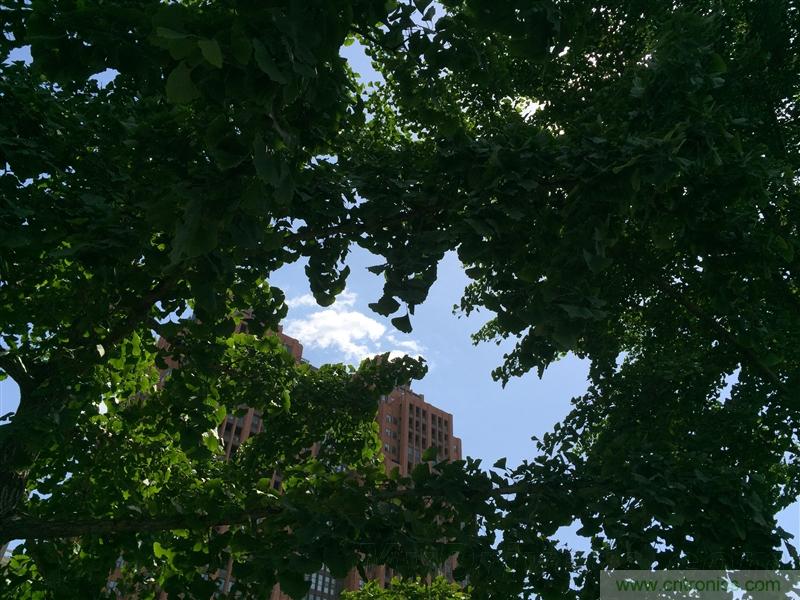 無邊框的 nubia Z9 ，一款既有驚喜，又有驚豔的智能手機