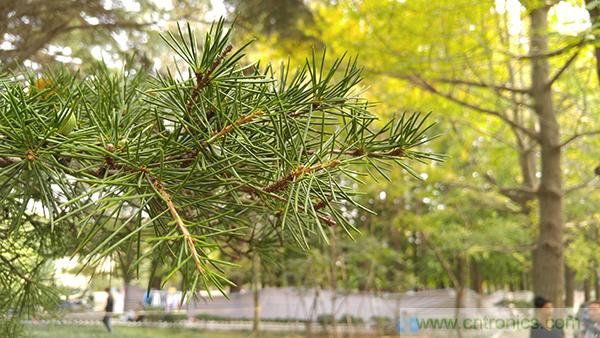 業界良心 LG V10 評測:剛毅、冷峻，不失人性化