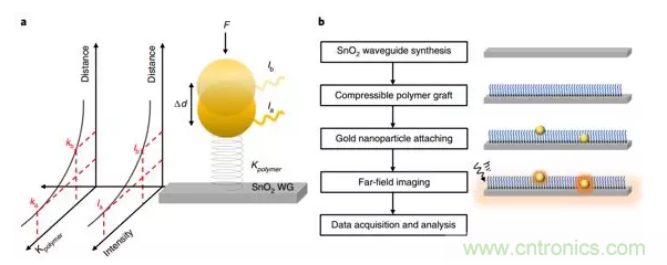 新型納米級光纖應力傳感器：用於分子和細胞水平機械探測