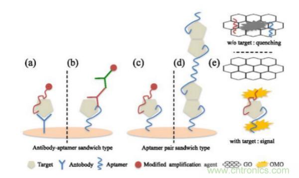 夾層式生物傳感器可以應用於橫向流動測定