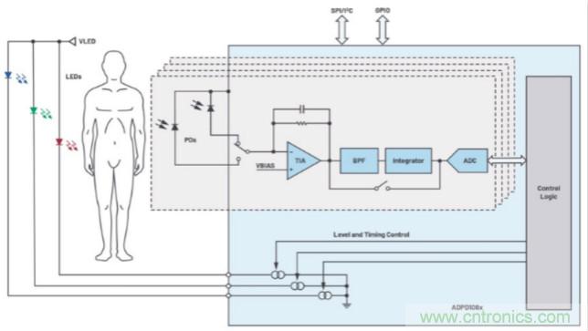 監控你的生命體征？還是讓專業的來吧~