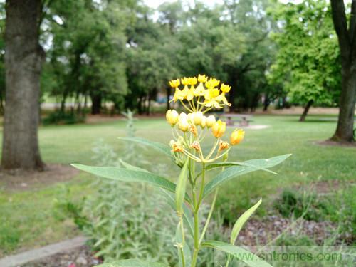 無數的拍攝，隻為成就一個完美回憶