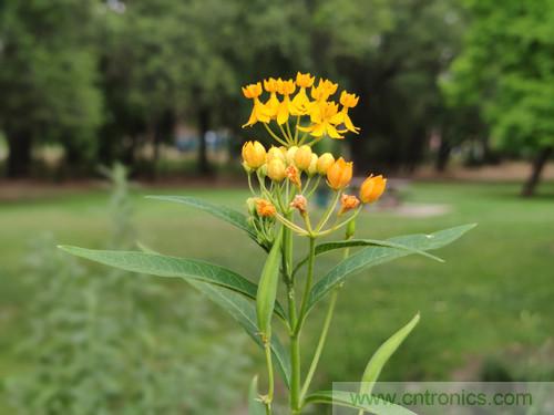 無數的拍攝，隻為成就一個完美回憶