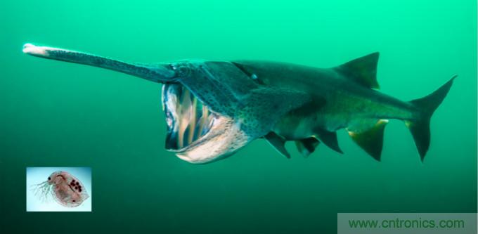 檢測不到信號，是加點噪聲？還是濾除噪聲？