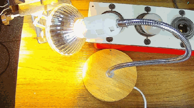 電燈泡內通有交流電，為什麼看不到燈泡在閃爍？