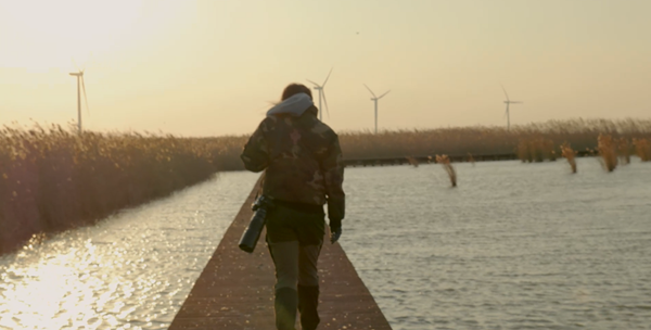 世界濕地日：海康威視攜手一個地球自然基金會，在上海守護這個重要“驛站”