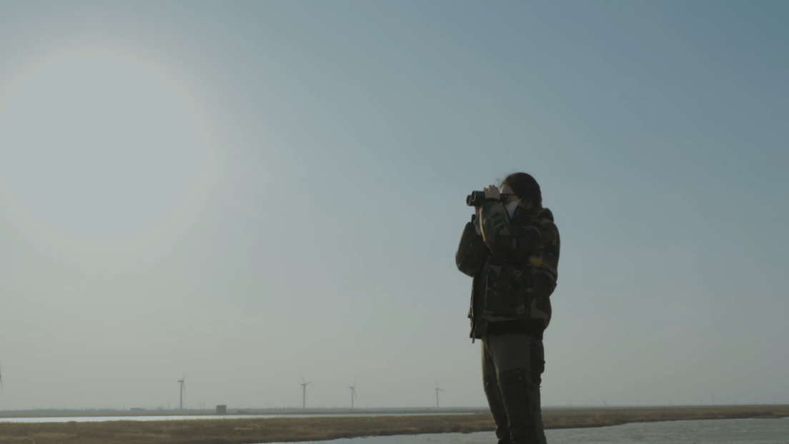 世界濕地日：海康威視攜手一個地球自然基金會，在上海守護這個重要“驛站”