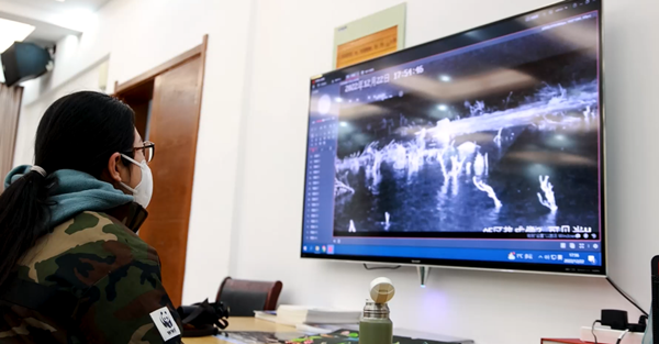 世界濕地日：海康威視攜手一個地球自然基金會，在上海守護這個重要“驛站”