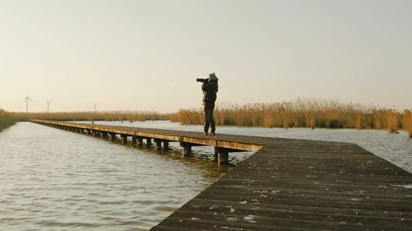 世界濕地日：海康威視攜手一個地球自然基金會，在上海守護這個重要“驛站”
