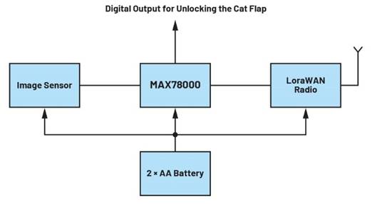 卷積神經網絡的硬件轉換：什麼是機器學習？——第三部分