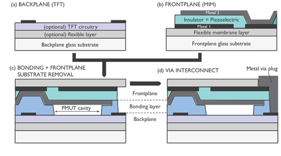 革命性醫療成像 imec用非侵入超音波監測心髒