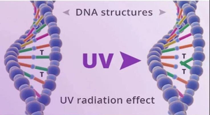 一文掌握UV LED在空淨消殺領域的主要應用