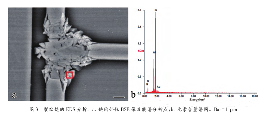 超聲波清洗暗藏"芯片密碼"：二氧化矽顆粒撞擊機理揭秘