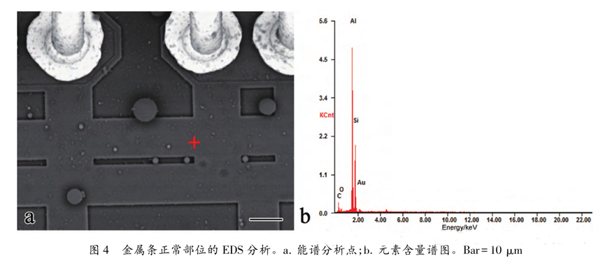 超聲波清洗暗藏"芯片密碼"：二氧化矽顆粒撞擊機理揭秘