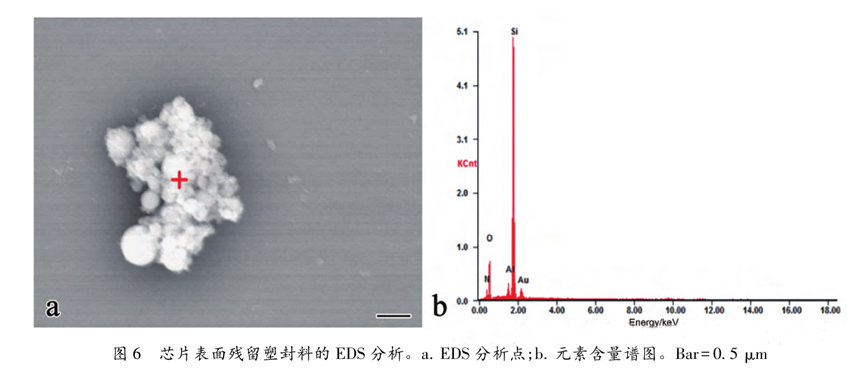 超聲波清洗暗藏"芯片密碼"：二氧化矽顆粒撞擊機理揭秘